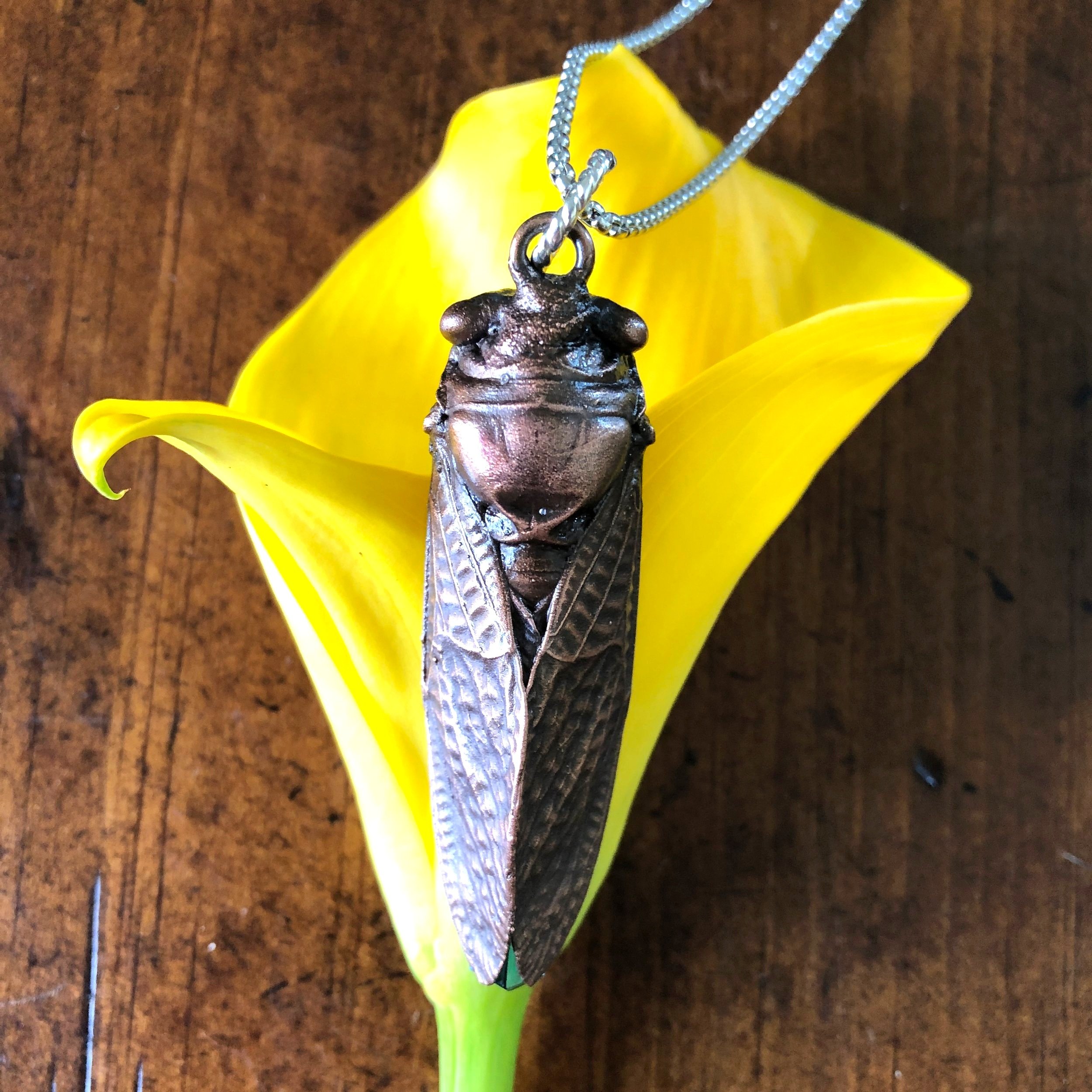 Lone+Cicada+1.jpg
