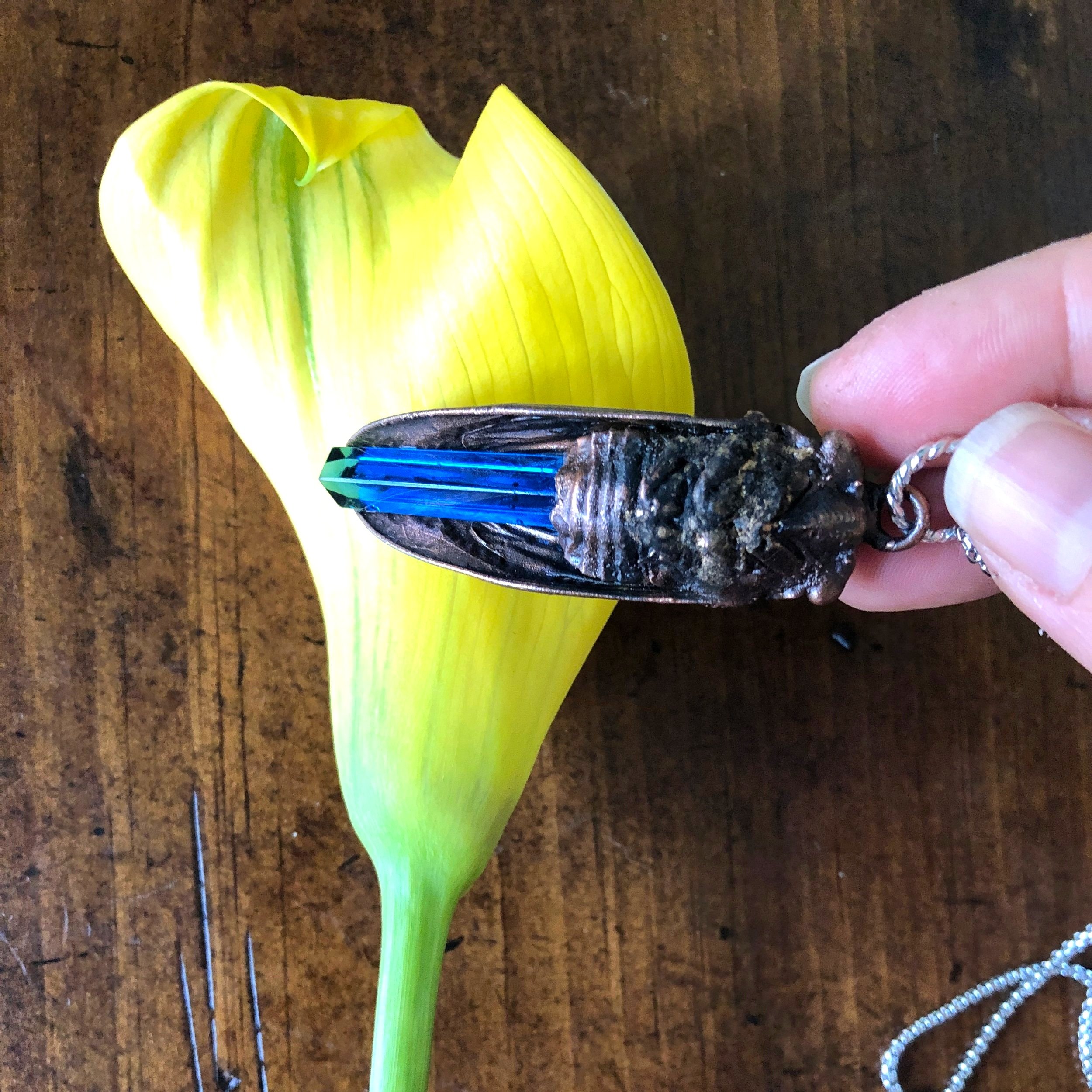 Lone+Cicada+2.jpg