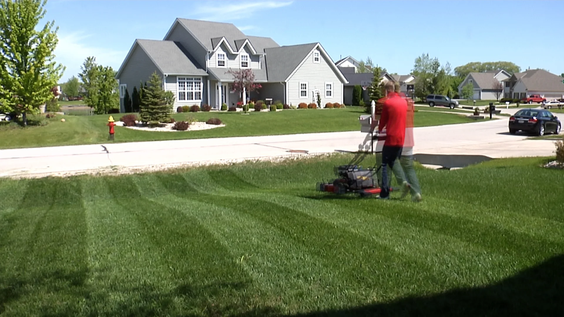lawn.jpg