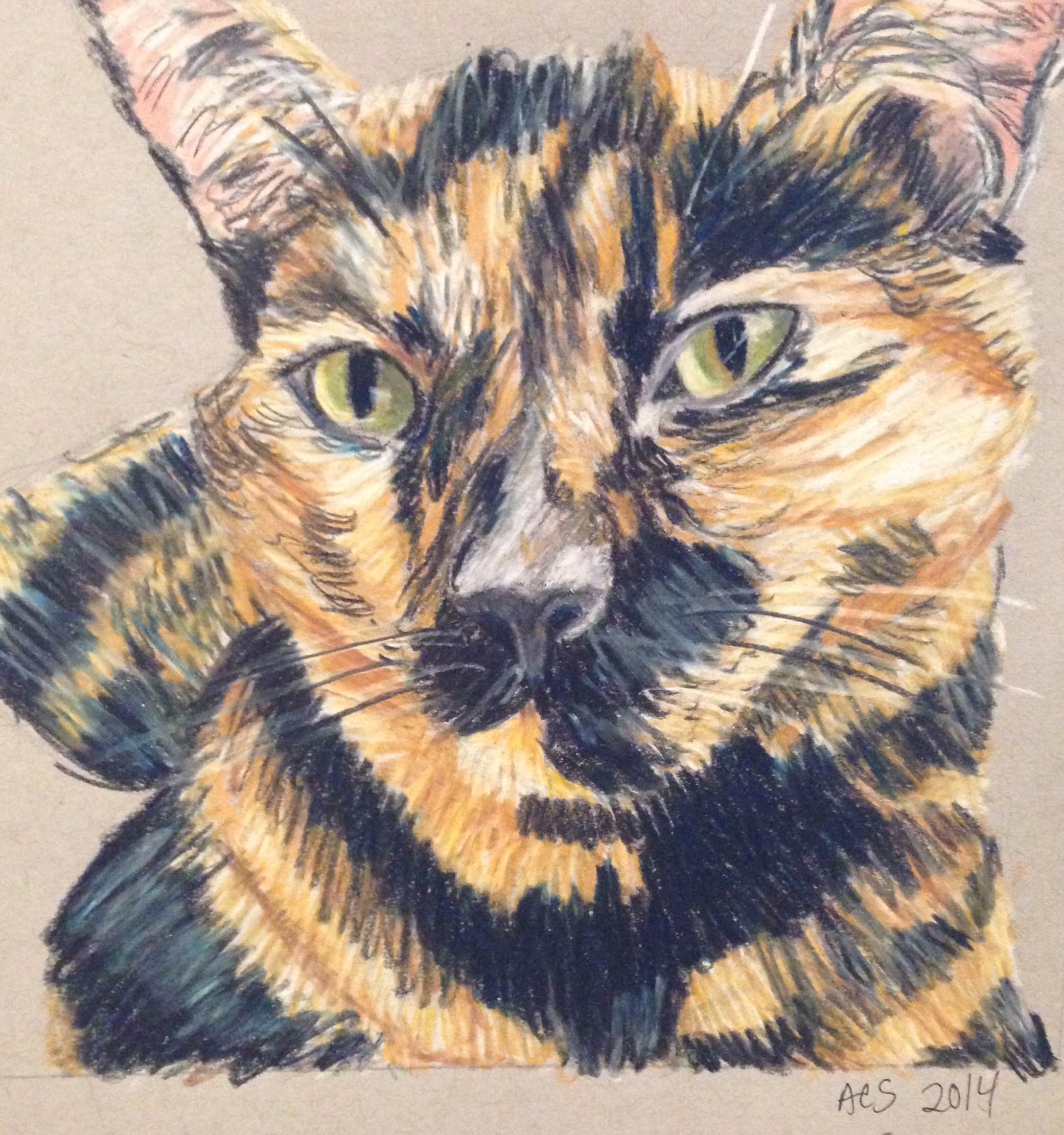 Snickers. 6x6". Colored pencil on paper. 2014. 
