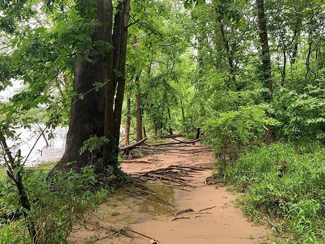 Rainy day hike at Pony Pasture!