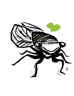 cicada love.jpeg