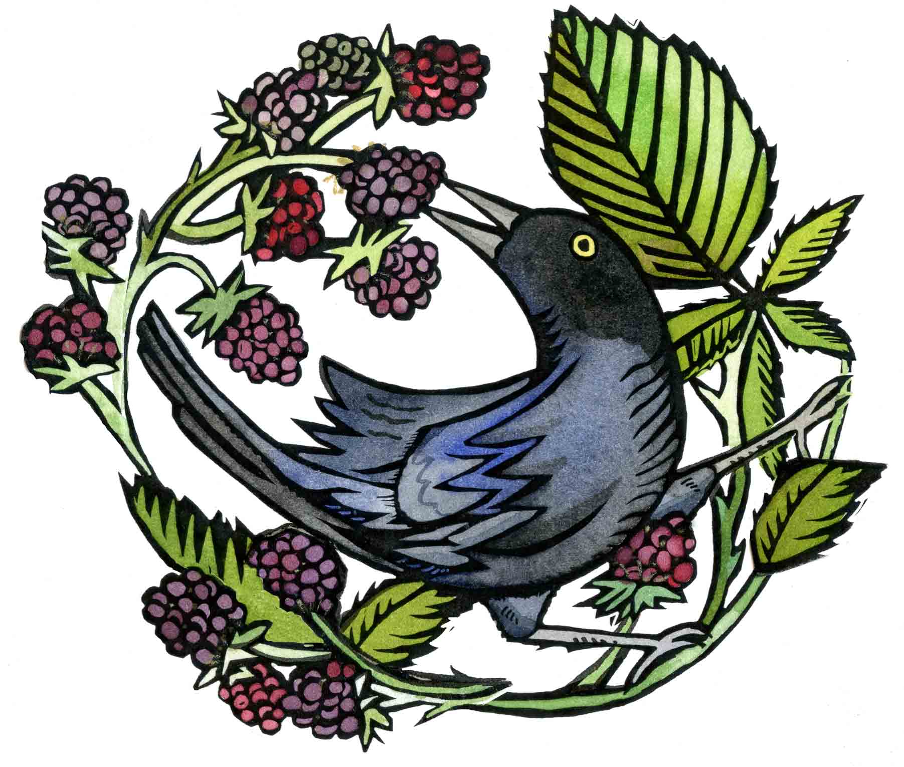 black bird and berries copy.jpg