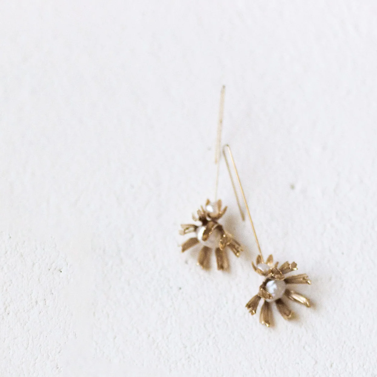 ASTER STEM DROP.jpg