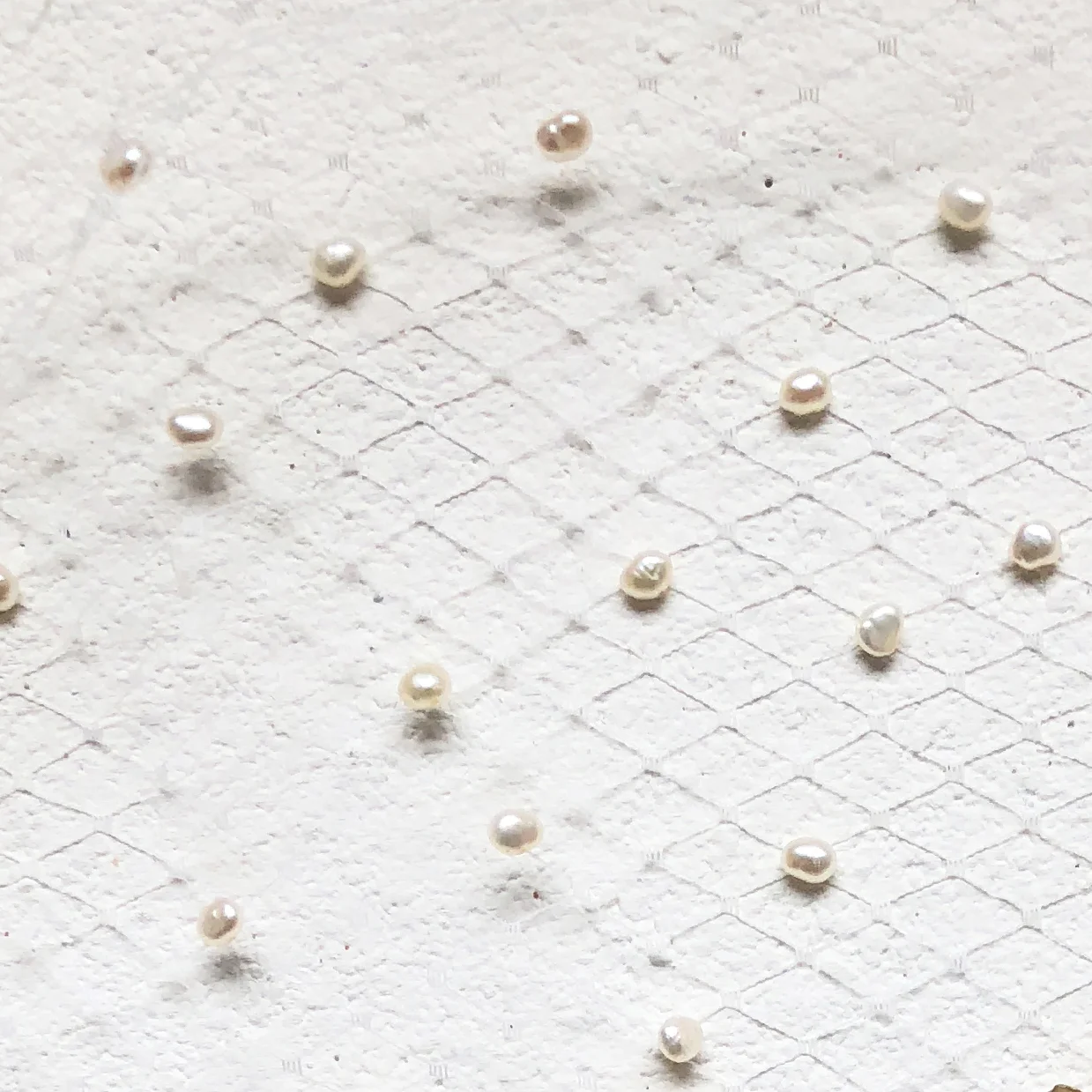 FWP Studded Cage Veil.jpg
