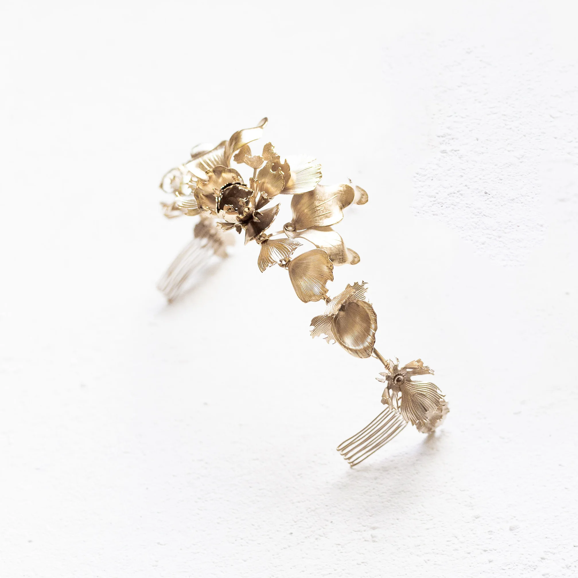 ASTER CROWN_2.jpg