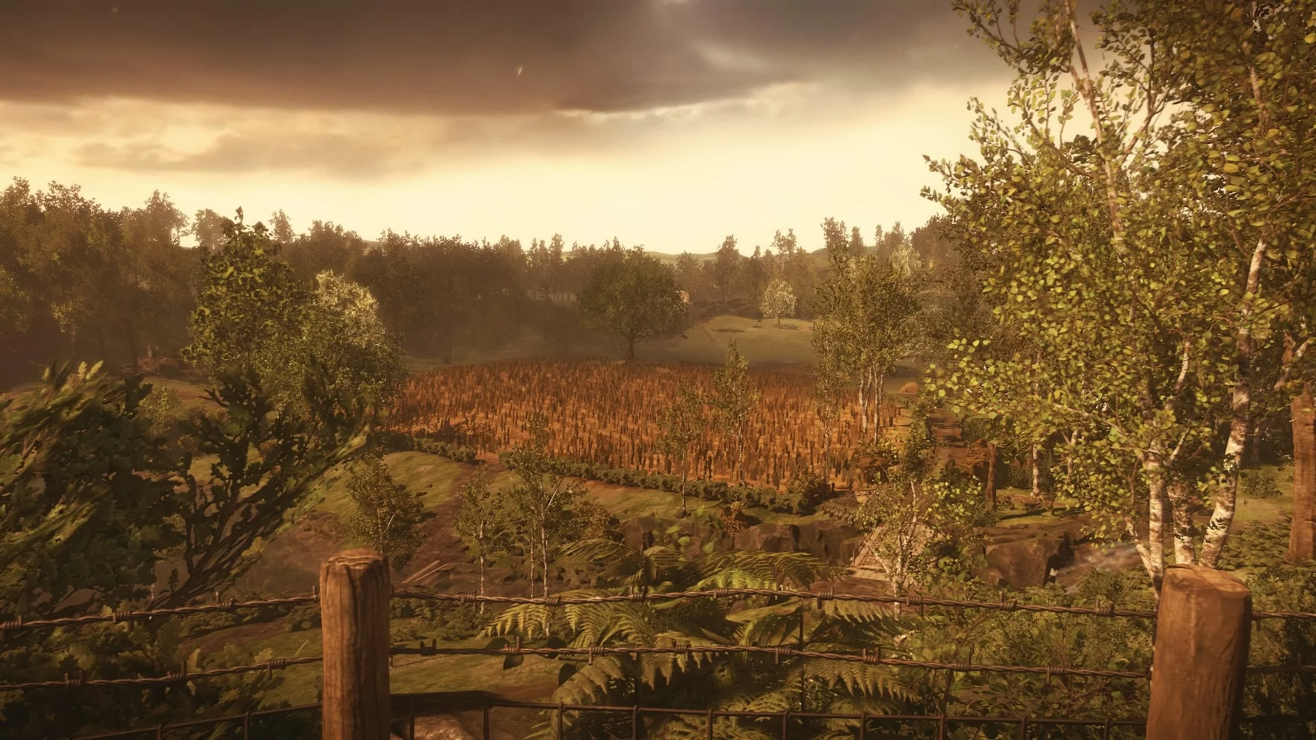 Top 5 Games of the Year