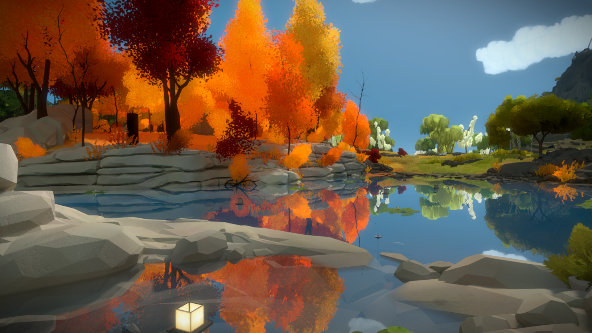 The Witness_20160129180752.png
