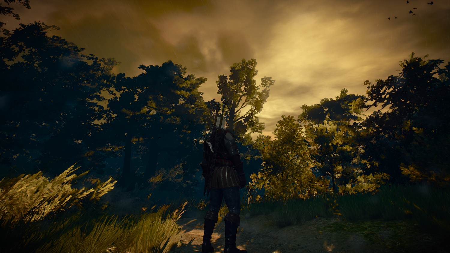 Nearly Four Years On, Why Has No Other Game Matched The Witcher 3? — Press  Play Gaming