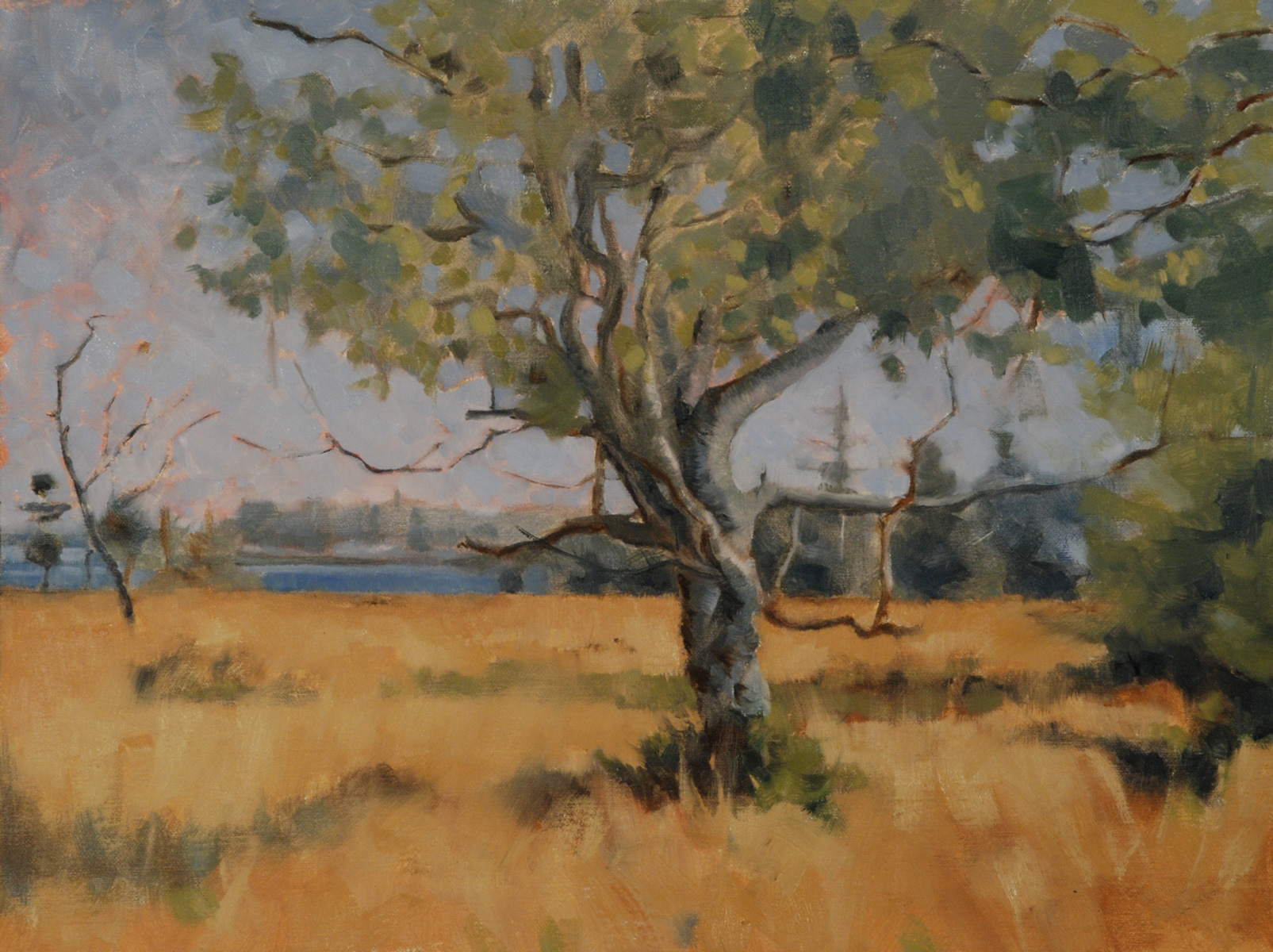 Crabtree Point I Oil on Linen, 12" x 16"
