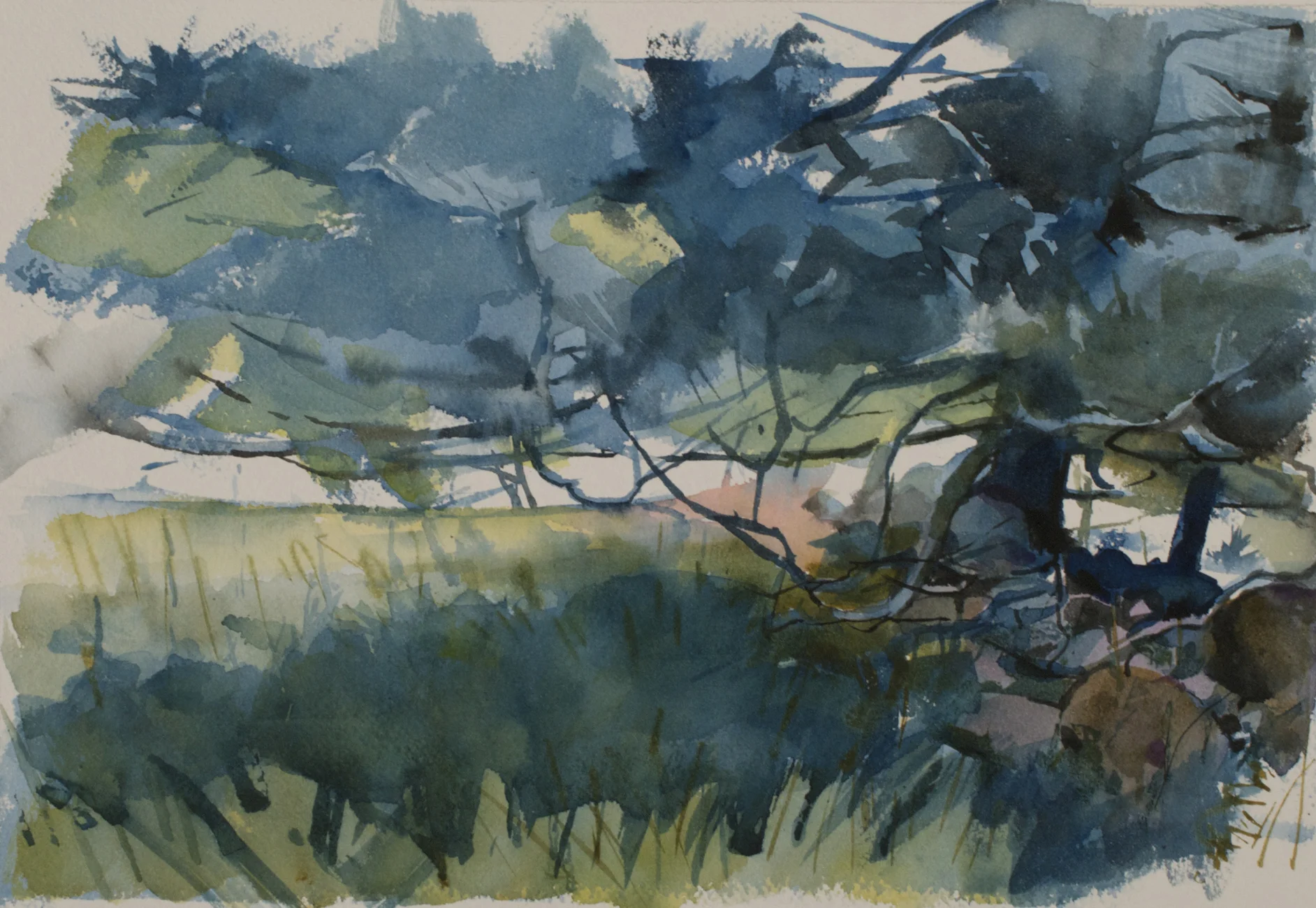 Cool Shade Watercolor, 14" x 17"