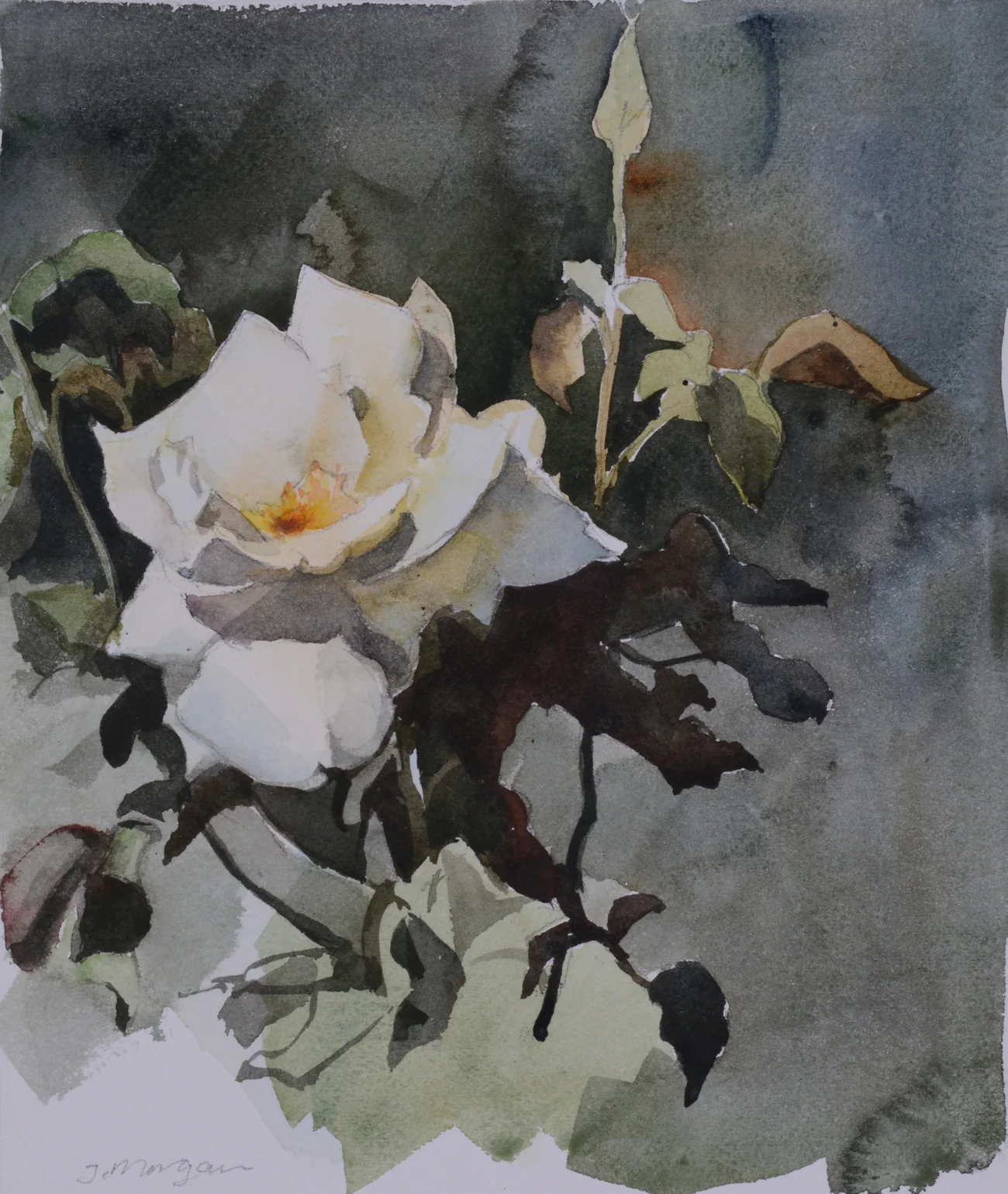 Rose Watercolor, 12" x 10"