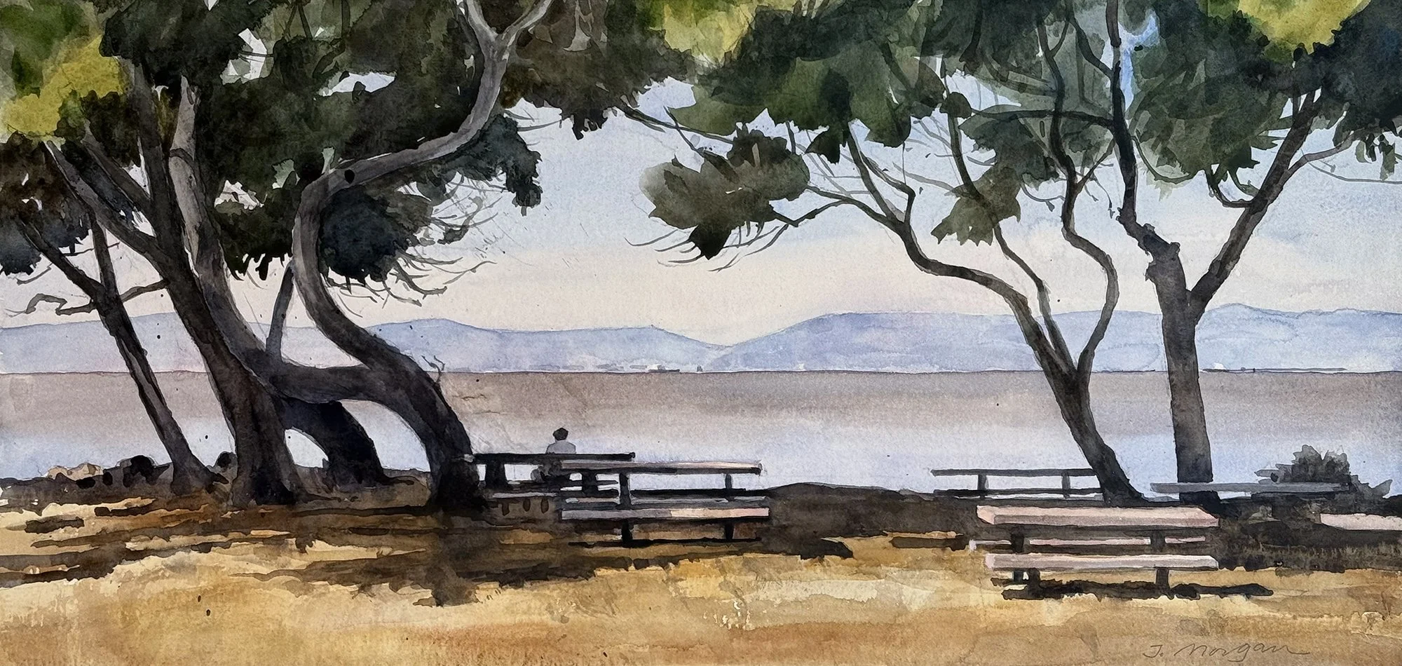   Crown Memorial State Beach   Watercolor, 11” x 22.5” 