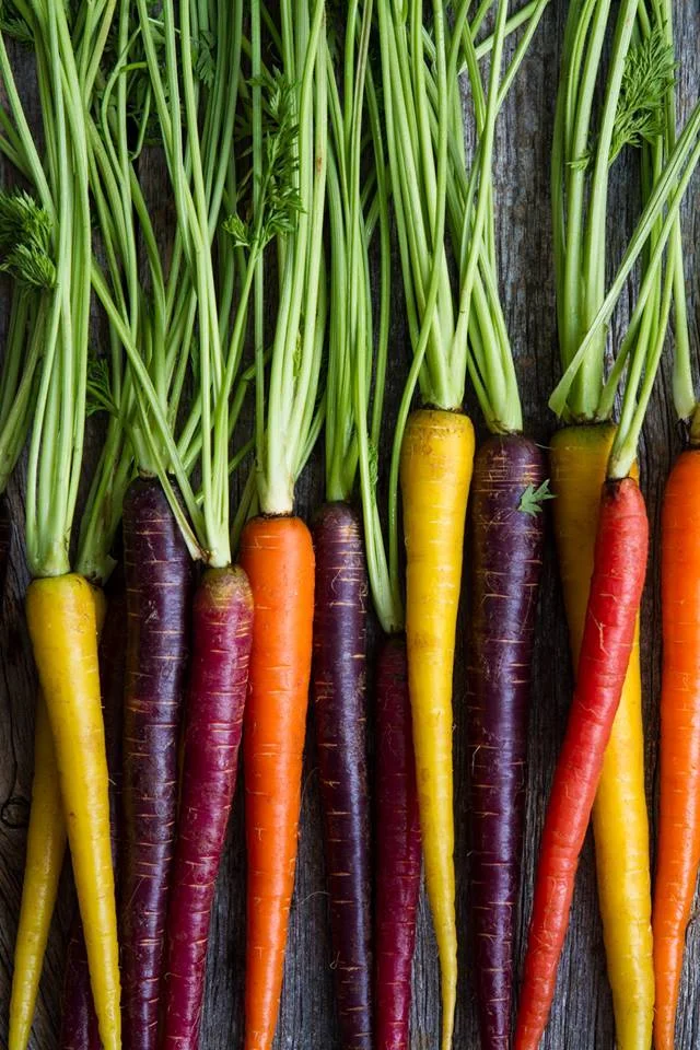 carrots.jpg