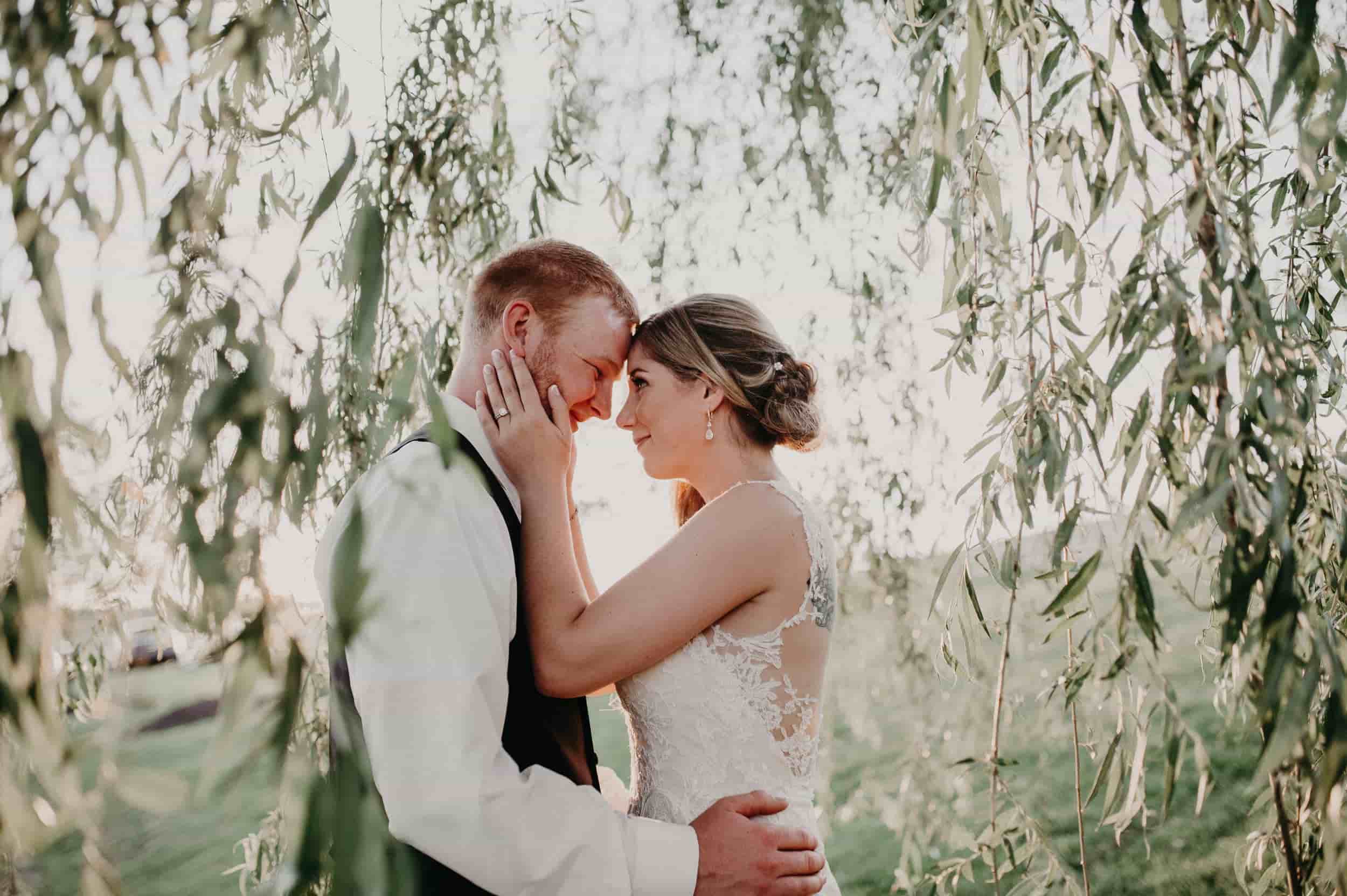 bride and groom in willow tree 2.jpg