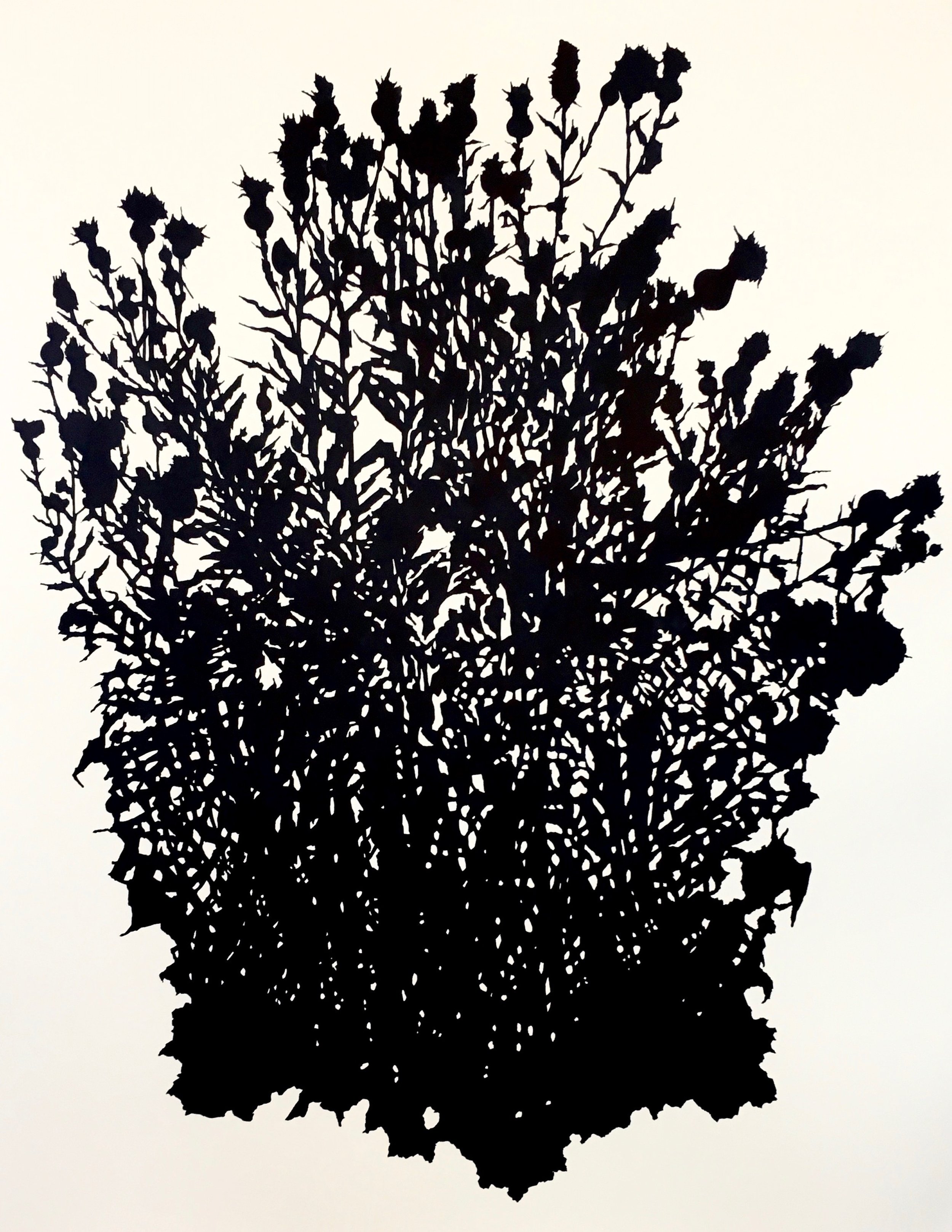 Doveton_LargeThistle.Oct50x38$2640.jpg