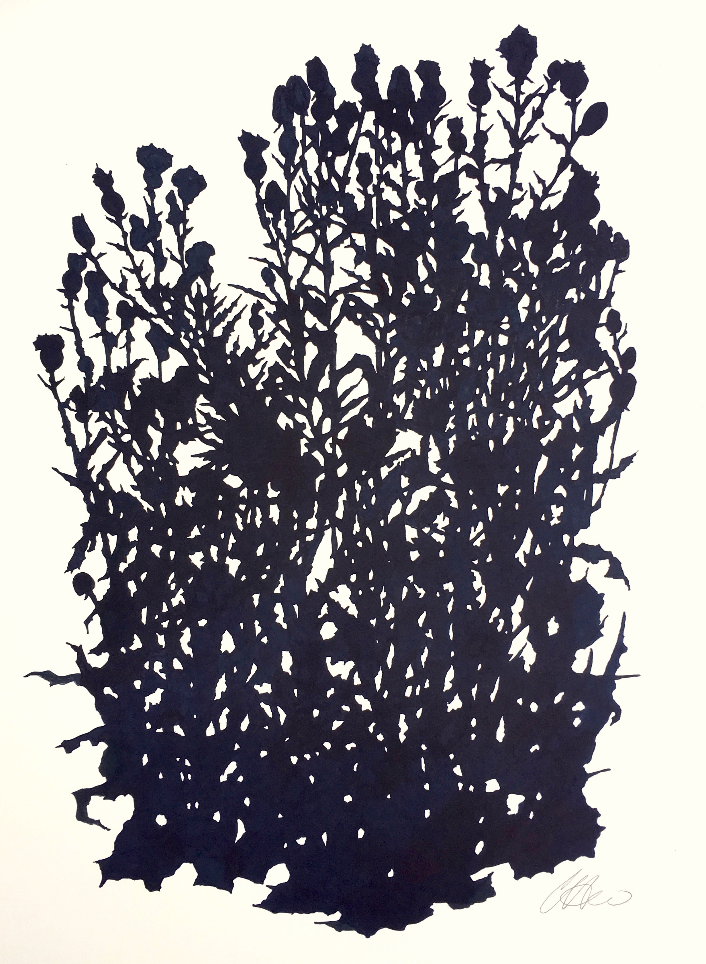 Thistle Study.Matfield Green2.August30x22.5.jpeg