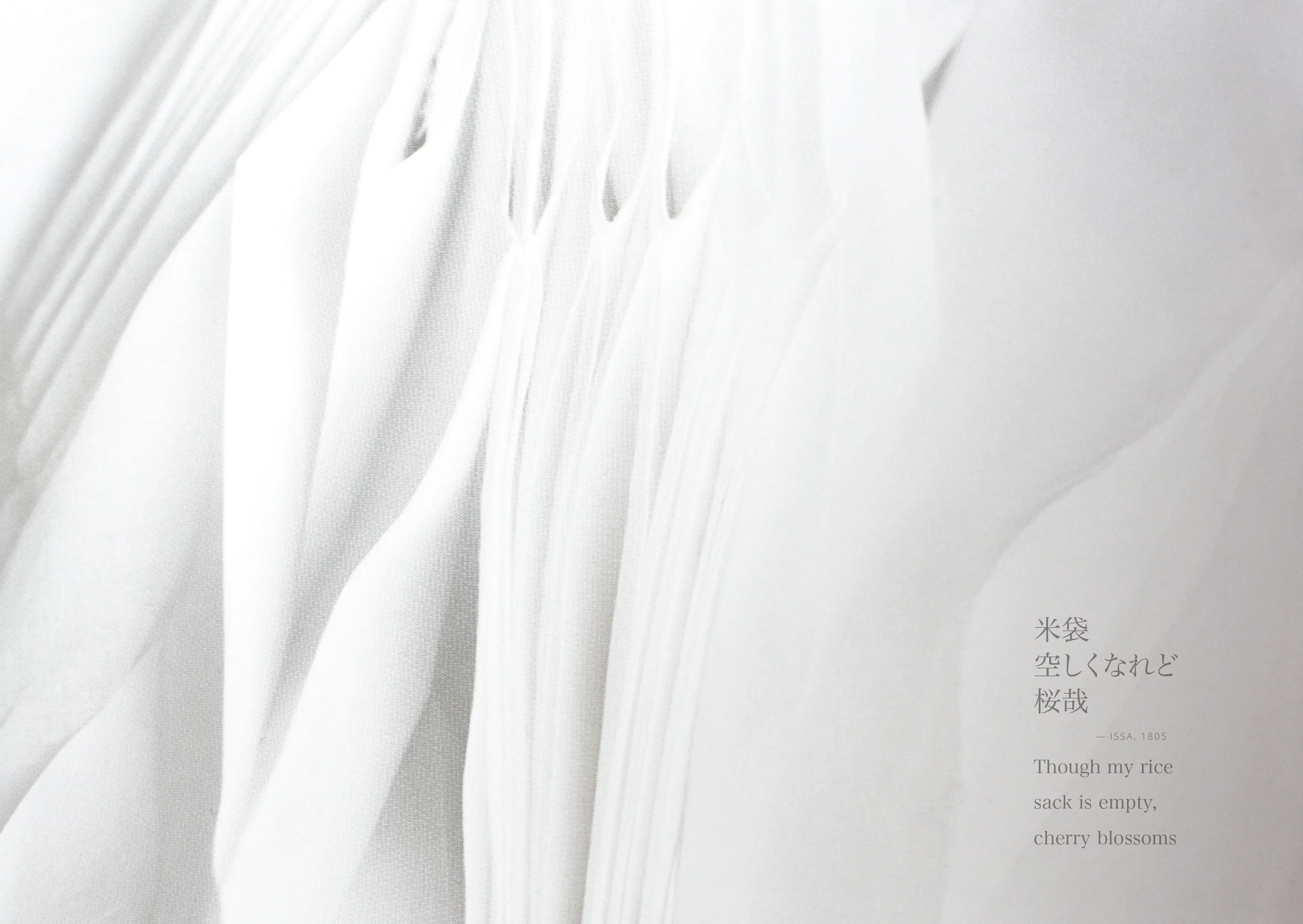 shiro_final draft-11.jpg
