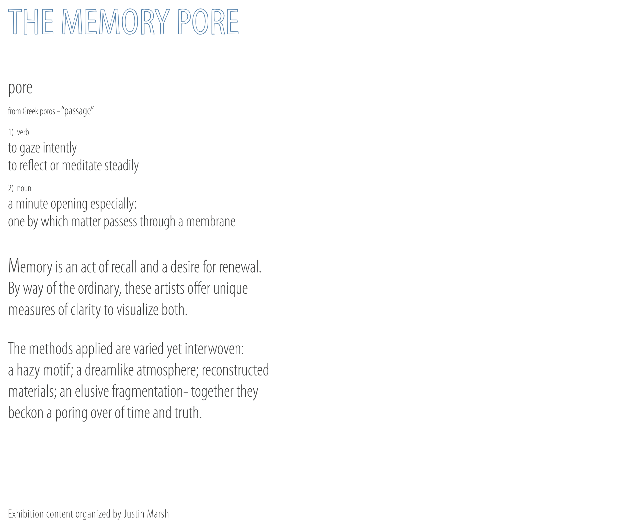 OL_Memory Pore Text Panel.png