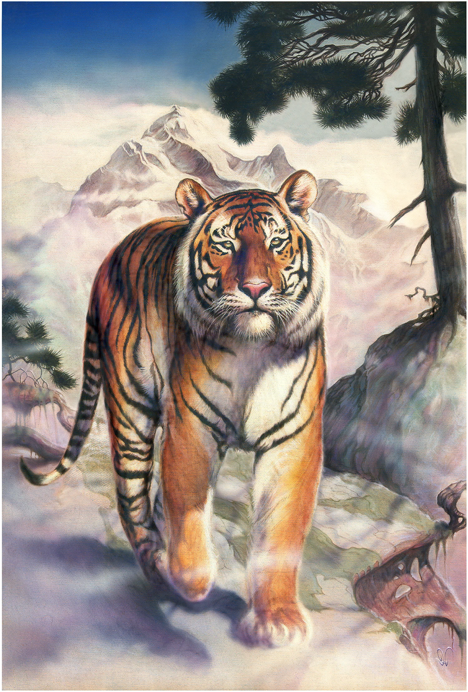 Tiger.jpg