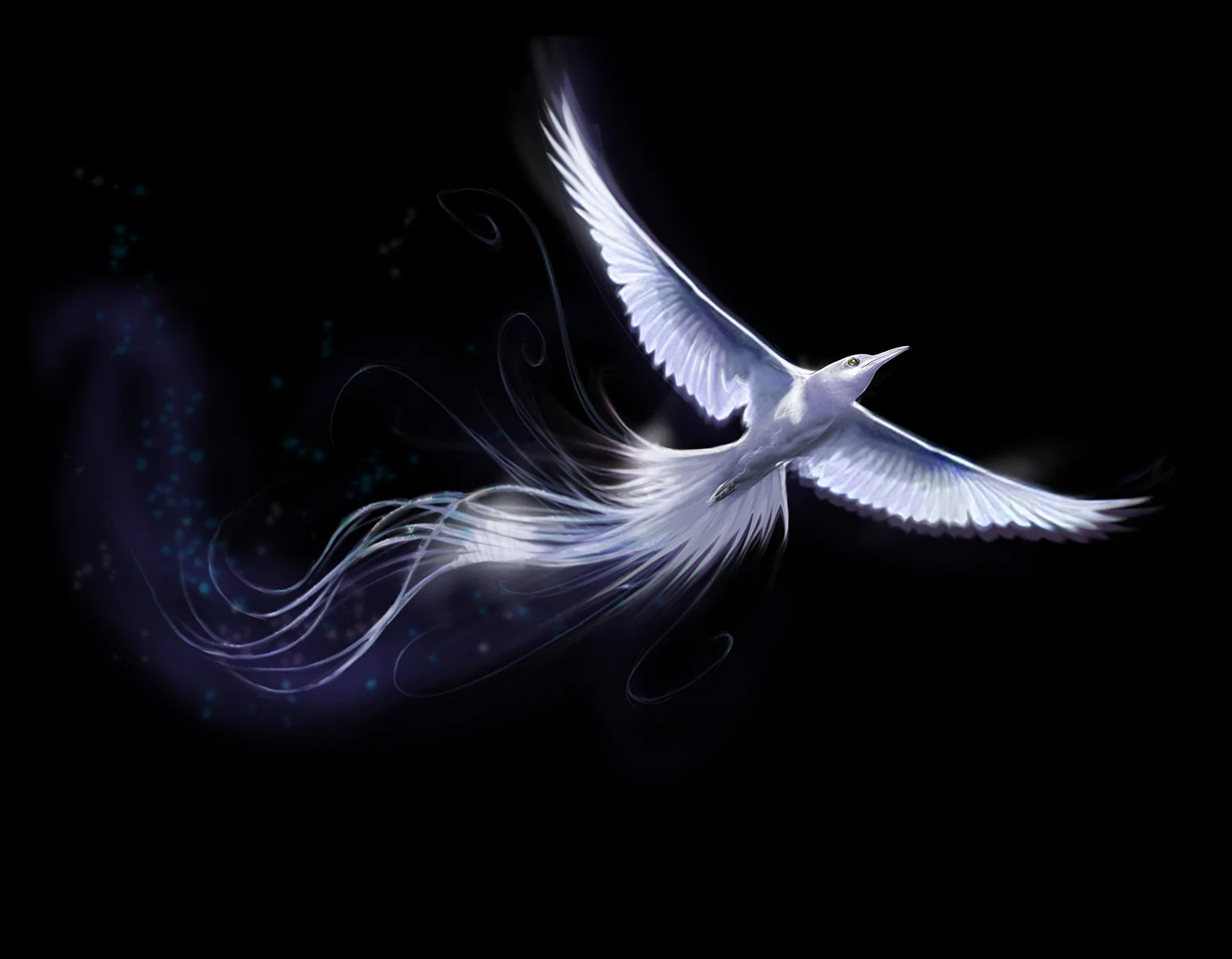 'Silver Bird' 2 FW.jpg