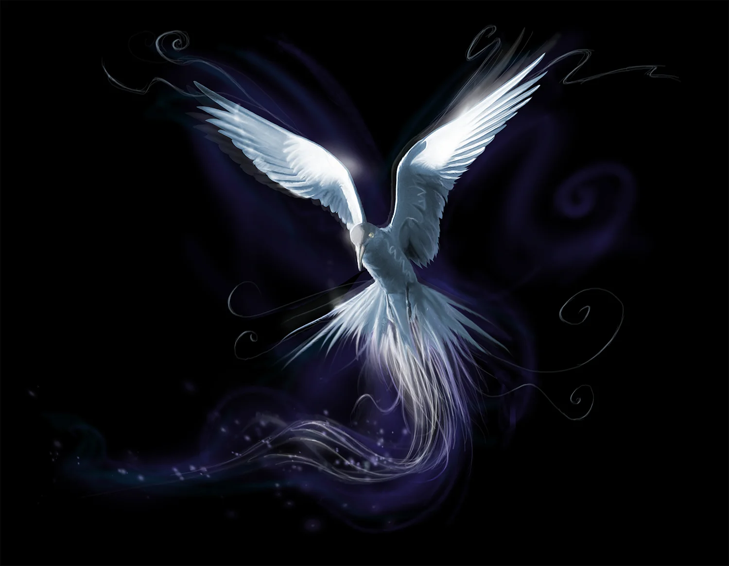 'Silver Bird' FW.jpg