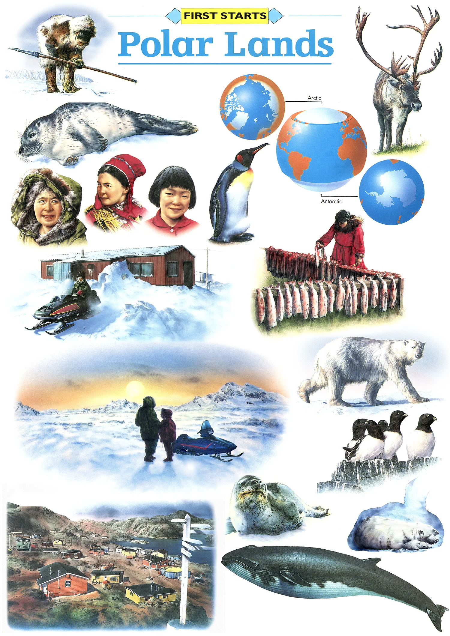 Folio - Polar Lands FW .jpg