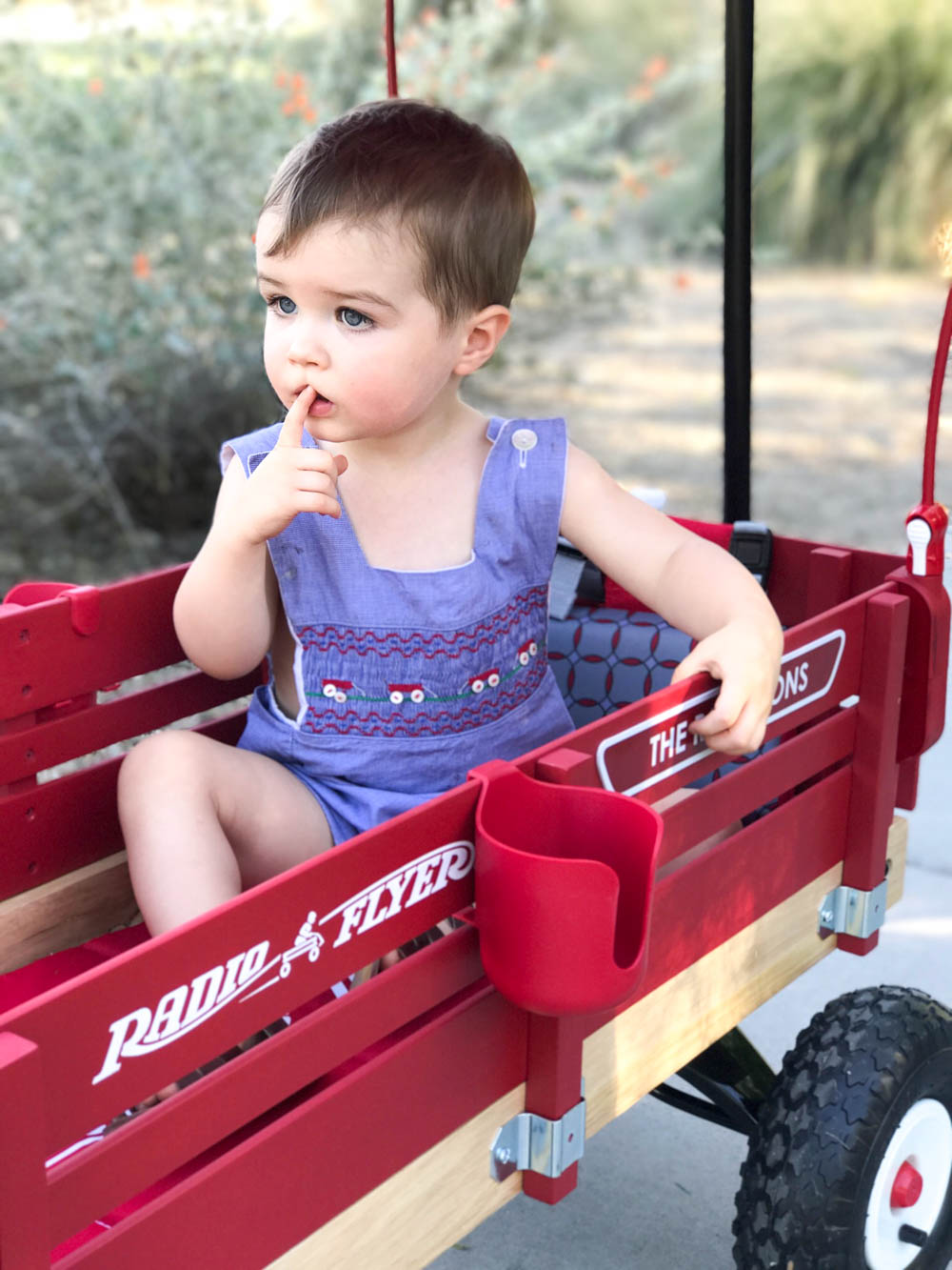 custom baby wagon