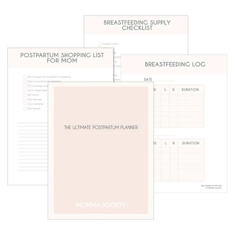 Pregnancy Planner mockup.jpg