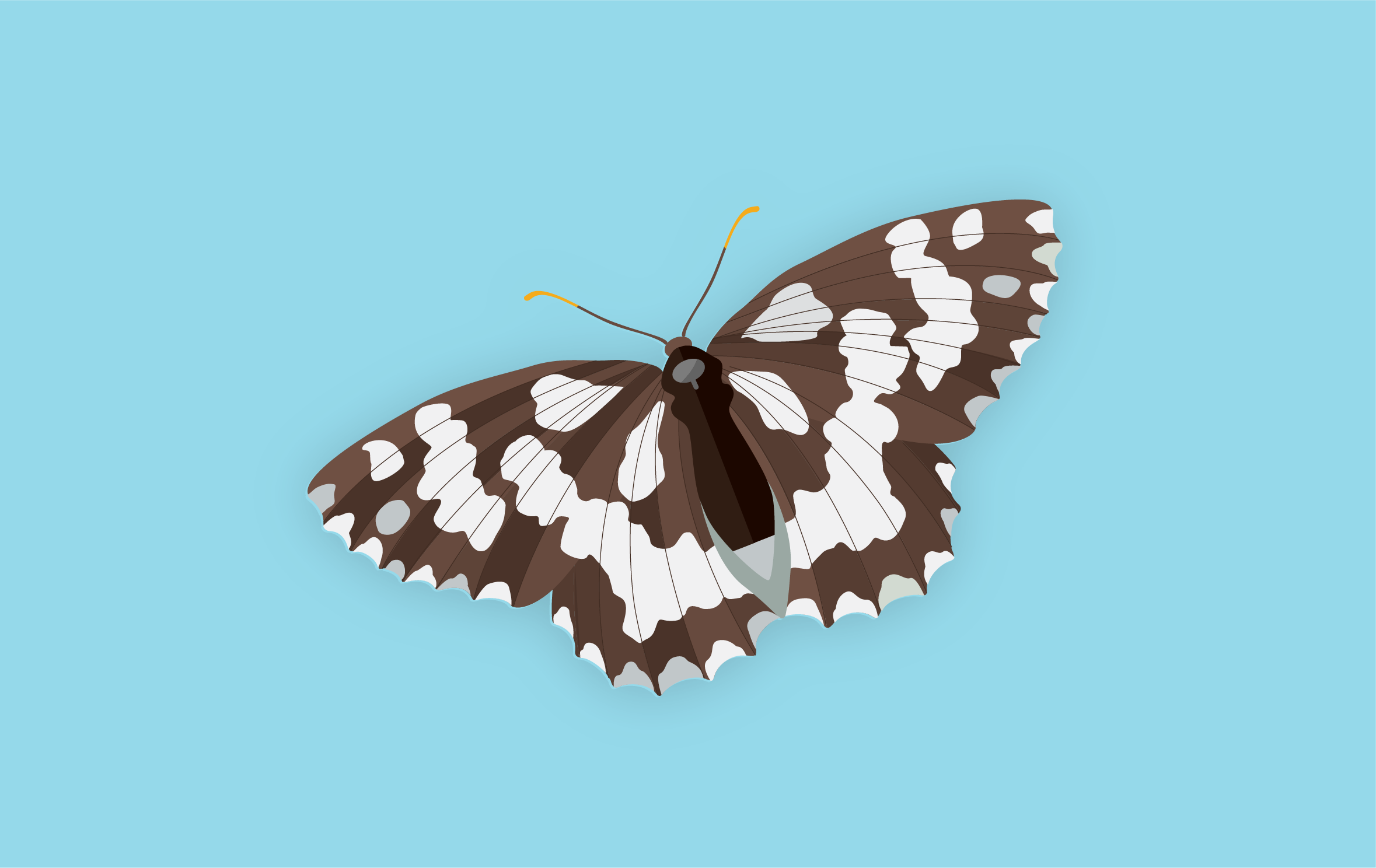 Artboard 96clarify.png