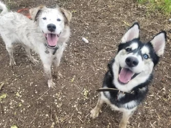 Silly Aeris & his pal Echo