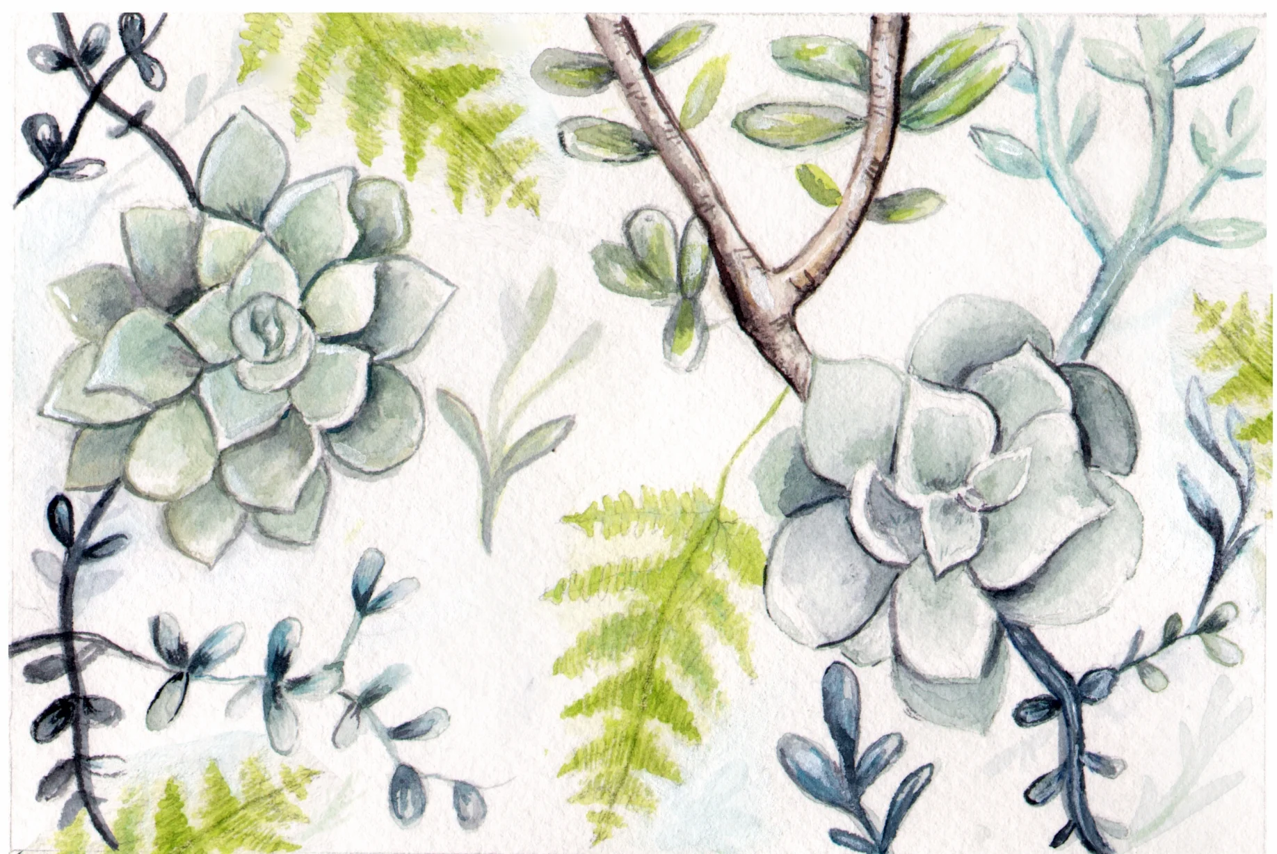 Greeting Card Illustration