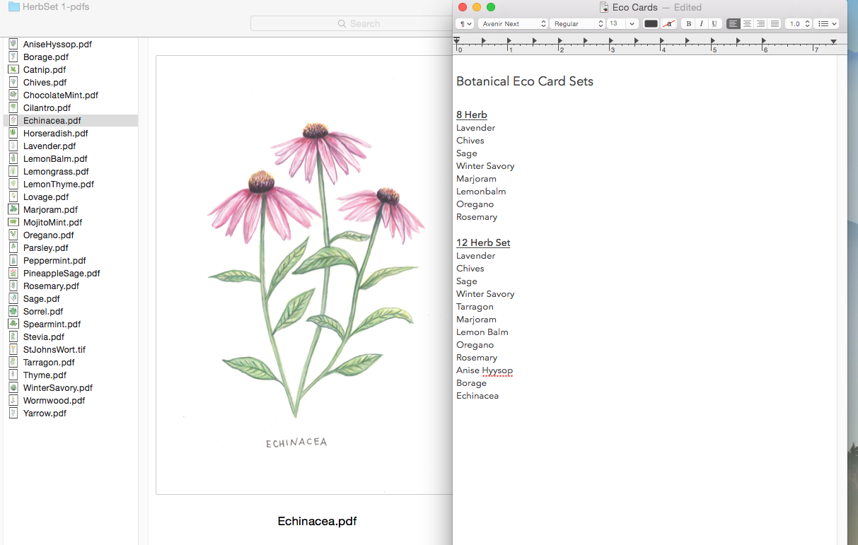 Screen Shot 2018-06-13 at 11.26.32 AM.png