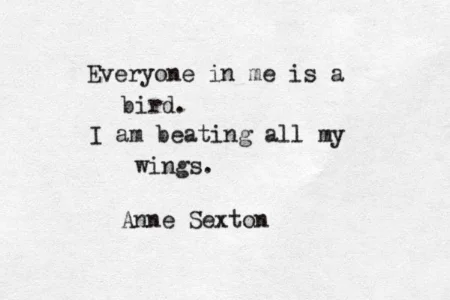 bird-poem-anne-sexton.jpg