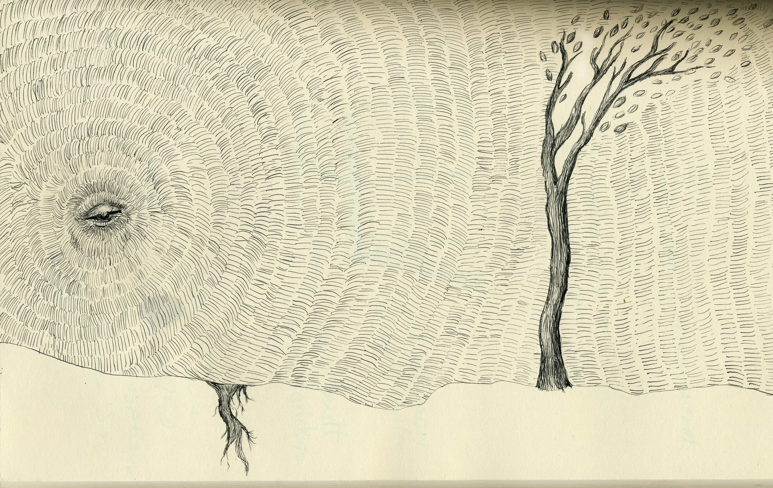 tree-eye.jpg