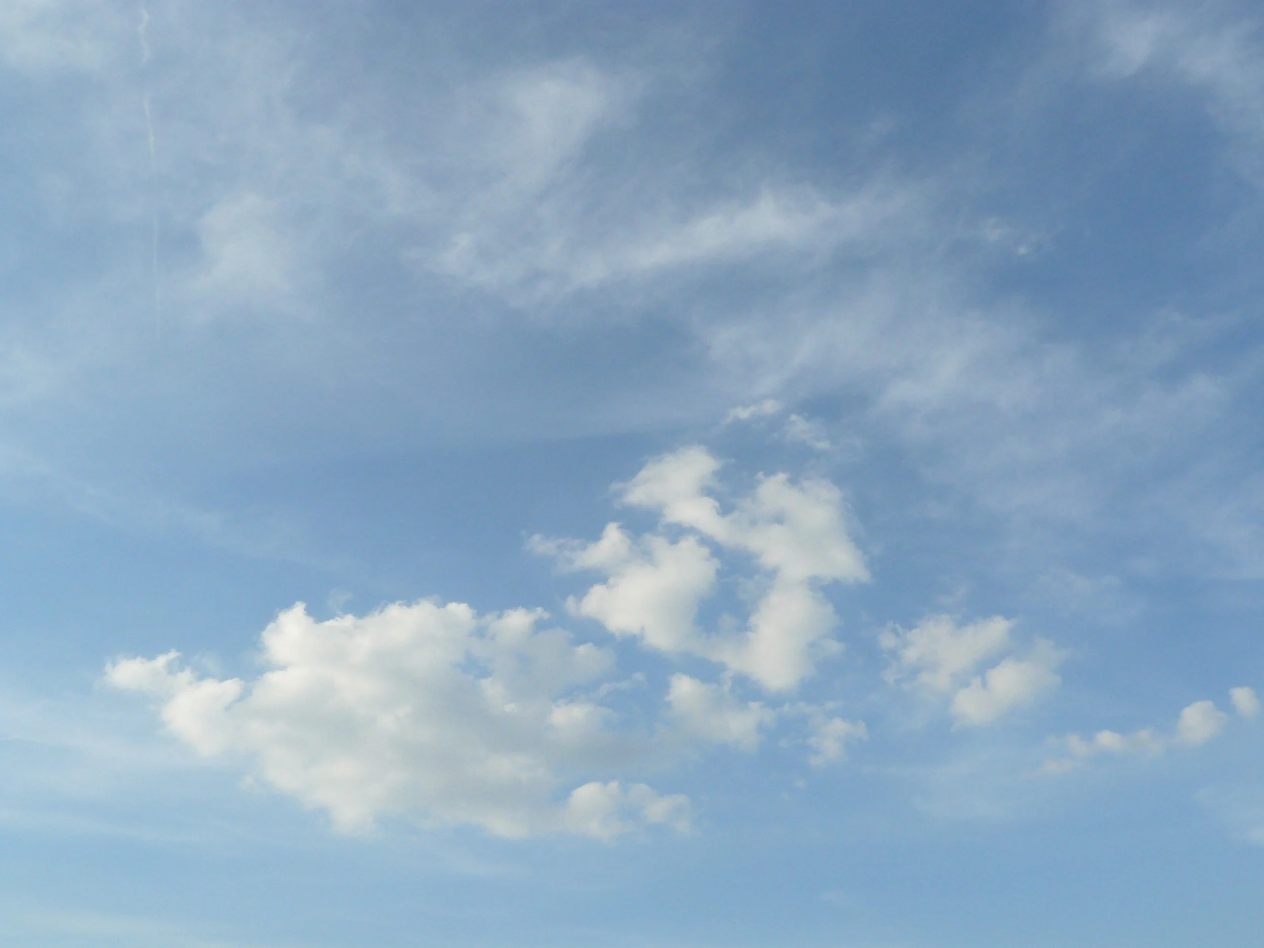 P1010259.JPG