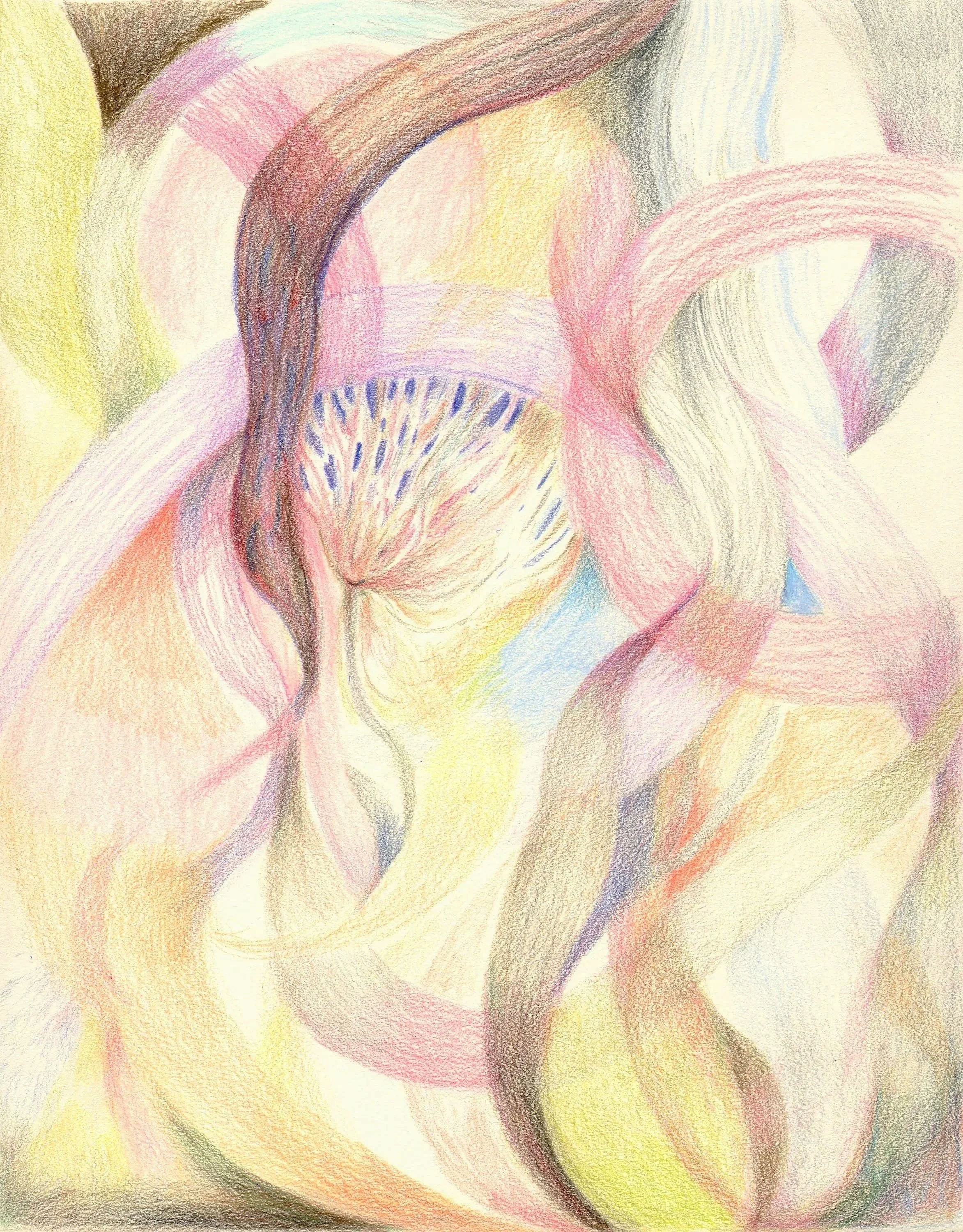  Stillness Inviting Growth  8 x 10 in.  colored pencil on paper 