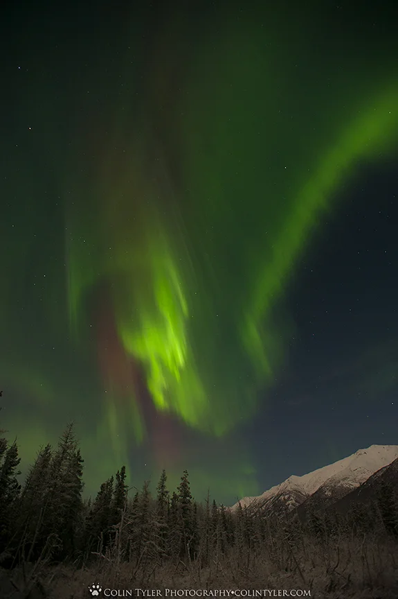 Aurora borealis at the Eagle River Nature Center