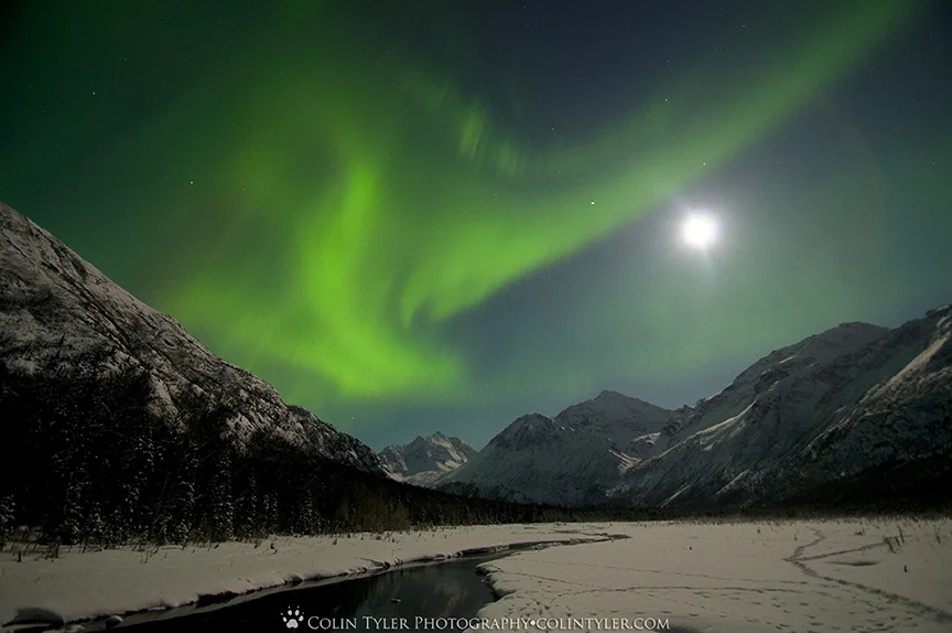 Aurora borealis at the Eagle River Nature Center