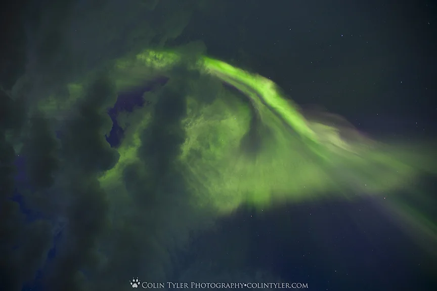 Aurora borealis corona emerges from behind clouds at the Eagle River Nature Center, Mother's Day 2016