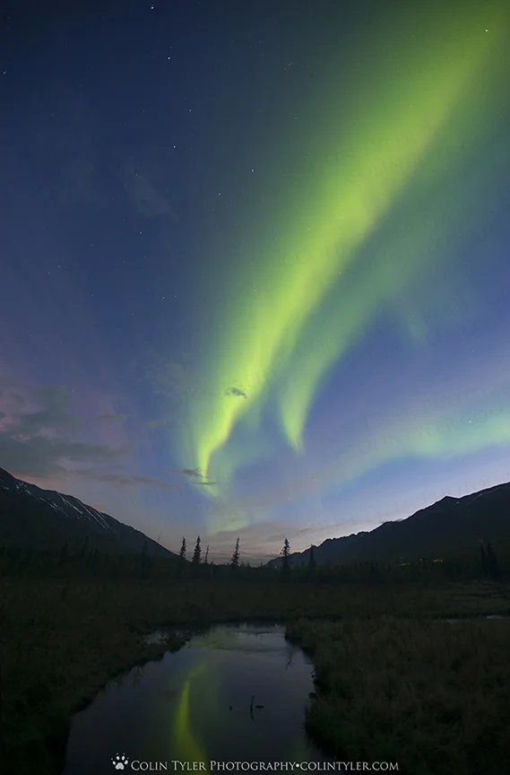 Aurora and sunrise sky at the Eagle River Nature Center, Mothers' Day 2016