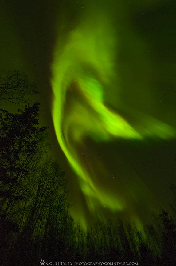 Aurora borealis over Chugiak