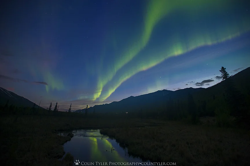 Aurora and sunrise sky at the Eagle River Nature Center, Mothers' Day 2016
