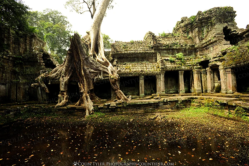 Angkor Wat Temples, Siem Reap