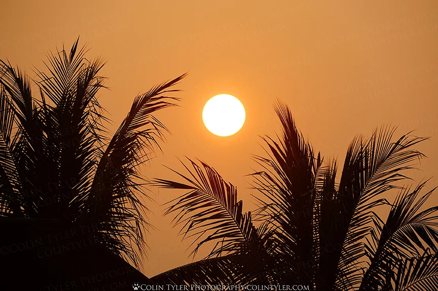 Siem Reap Sunrise