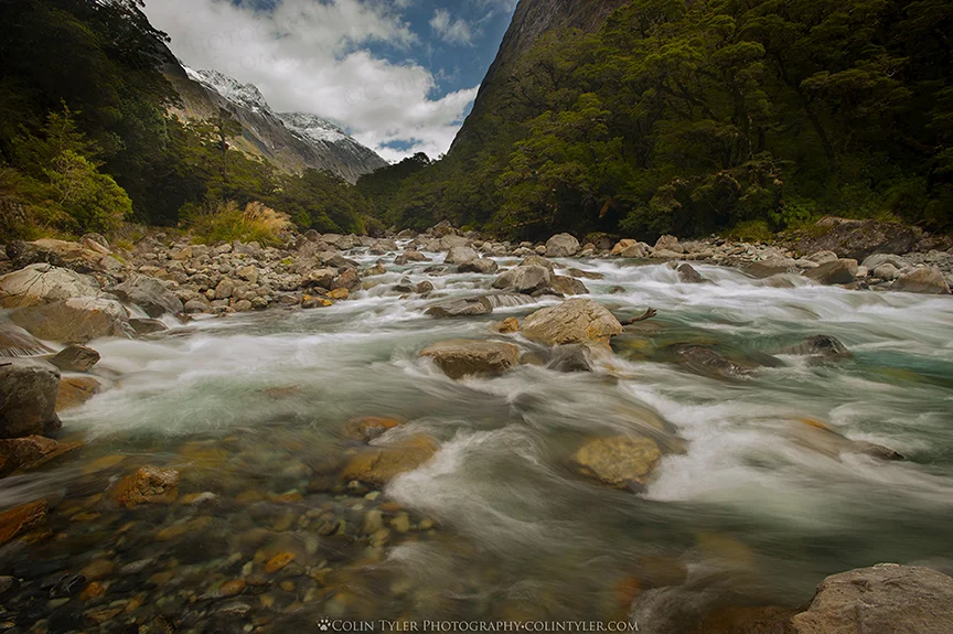 The Journey to Milford Sound
