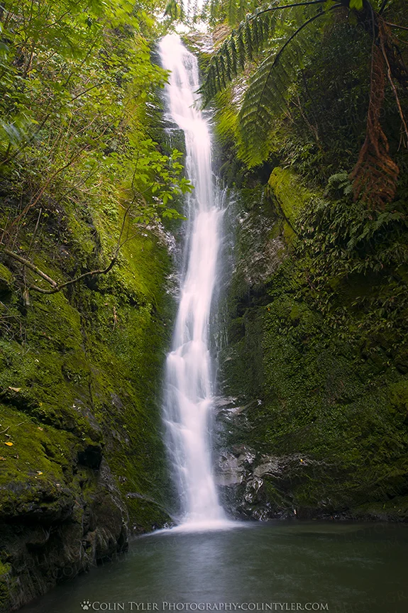 Ohau Falls, Kaikoura, South Island