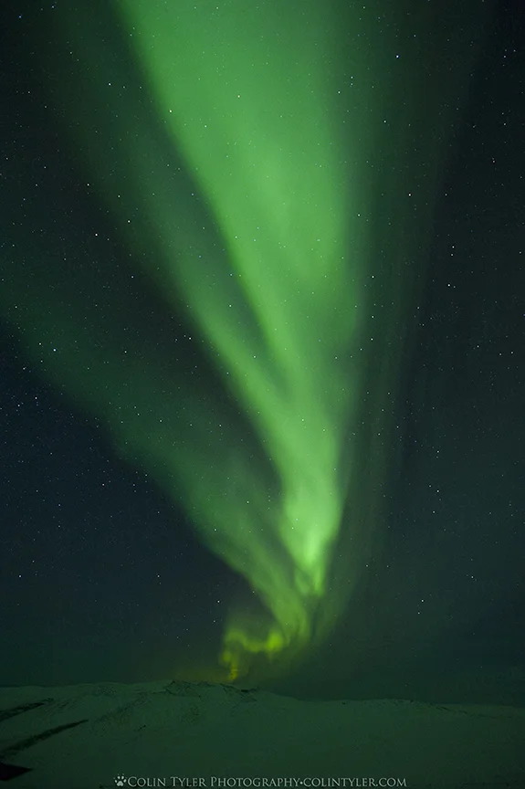 Aurora borealis at Eagle Summit