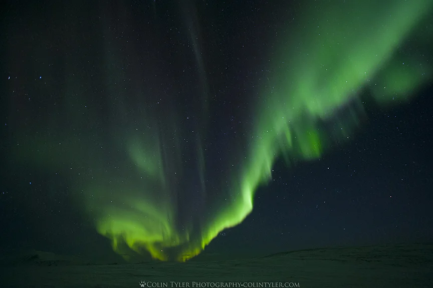 Aurora borealis at Eagle Summit