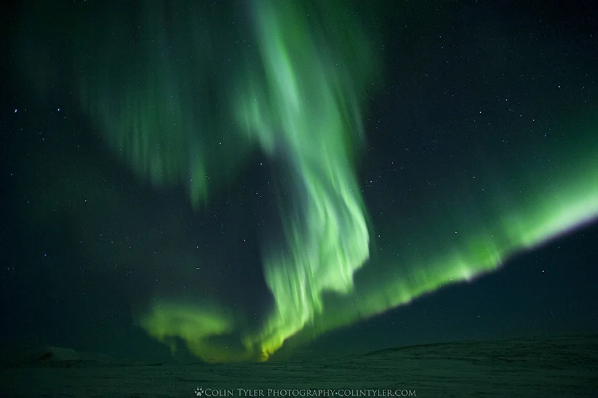 Aurora borealis at Eagle Summit